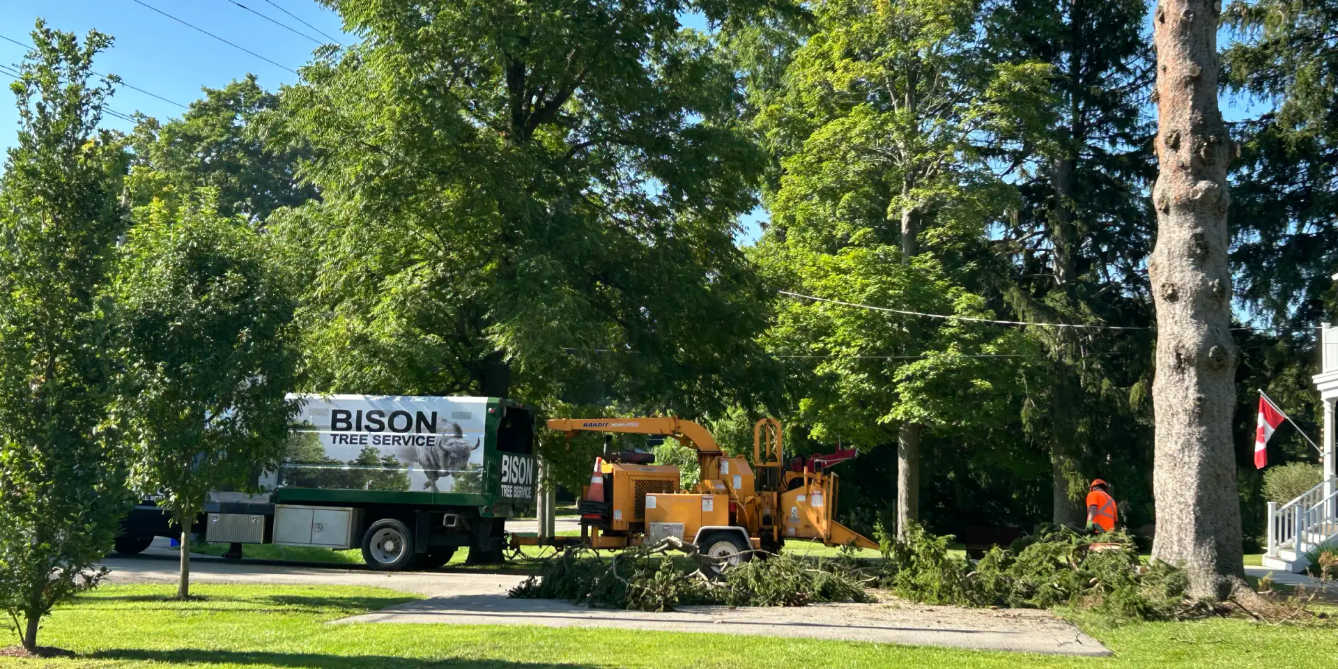 Tree service in Ancaster, ON