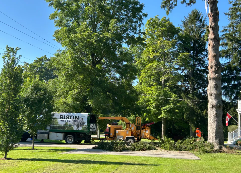 Bison Tree Service crew and equipment at a tree removal site